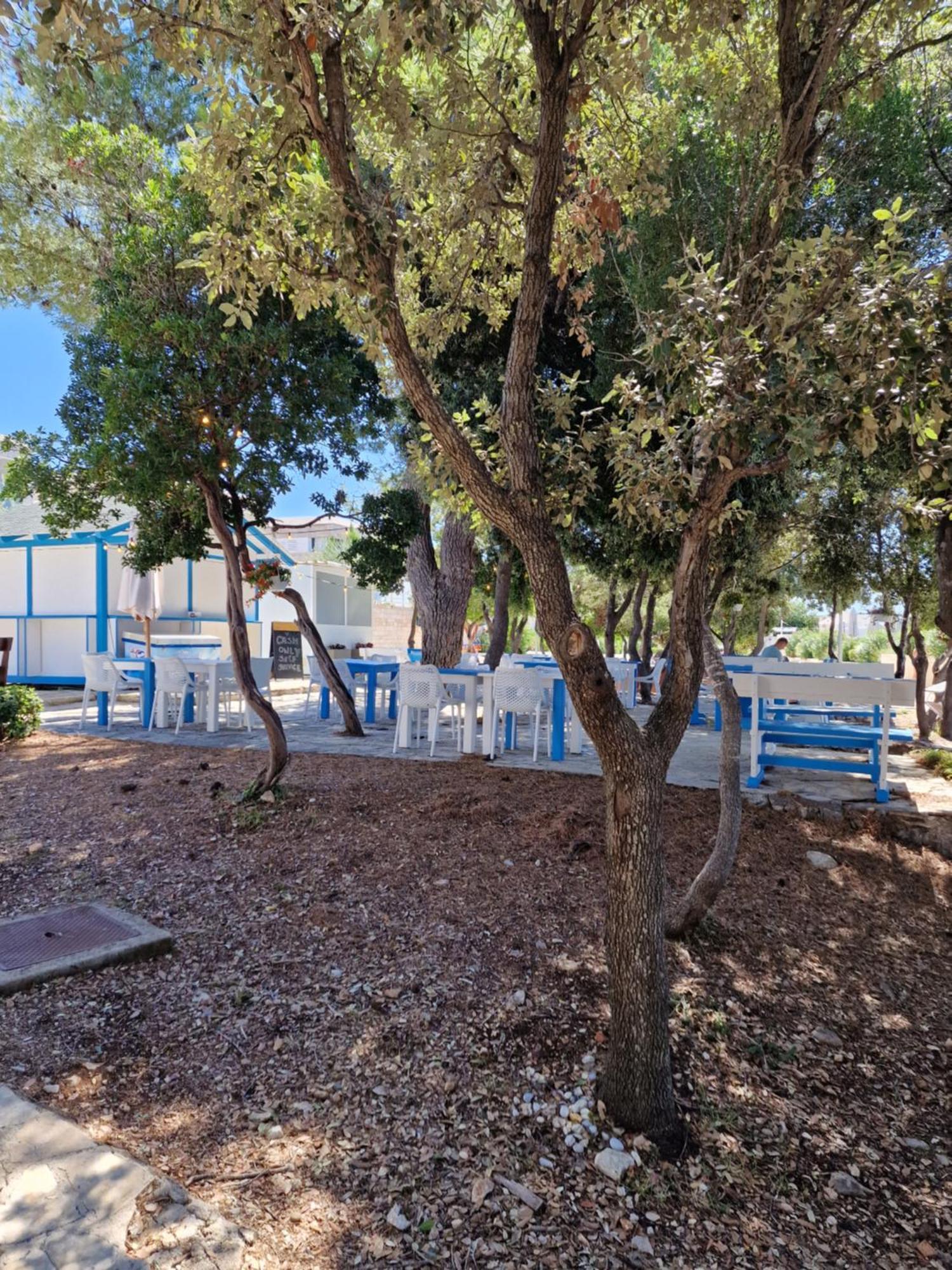 Residence-Apartment-Giuliano-Punta Skala, Petrcane Εξωτερικό φωτογραφία